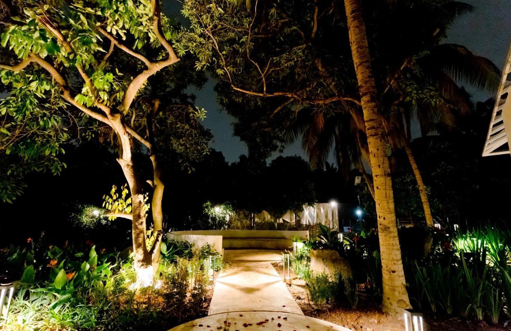 Duke Oasis