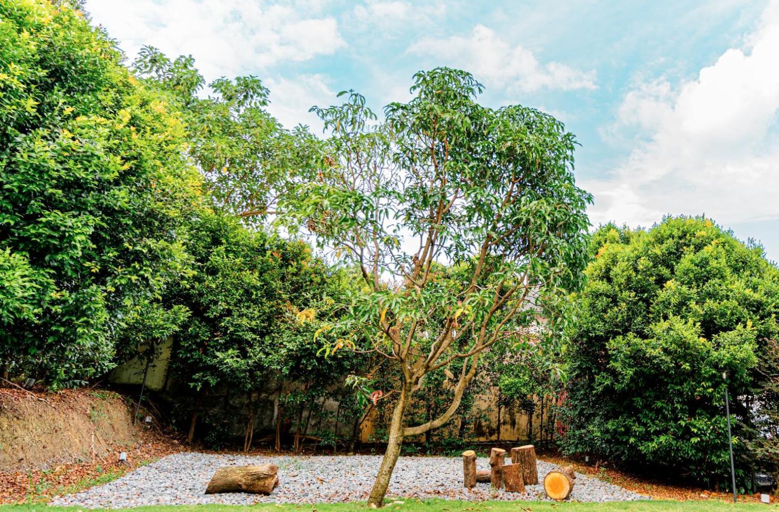 Duke Oasis Vila *