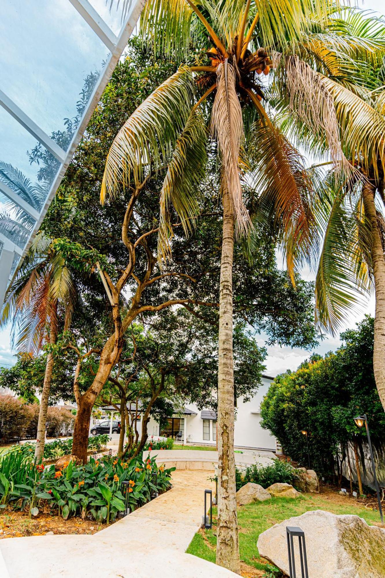 Vila Duke Oasis